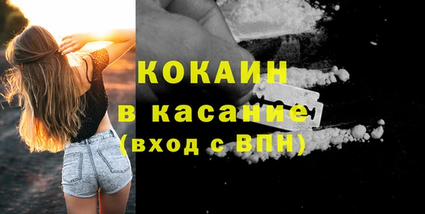 индика Алексеевка