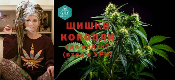 дурь Алзамай