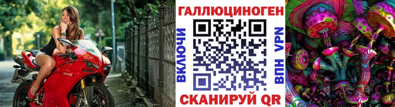 Псилоцибиновые грибы Magic Shrooms  продажа наркотиков  Николаевск 